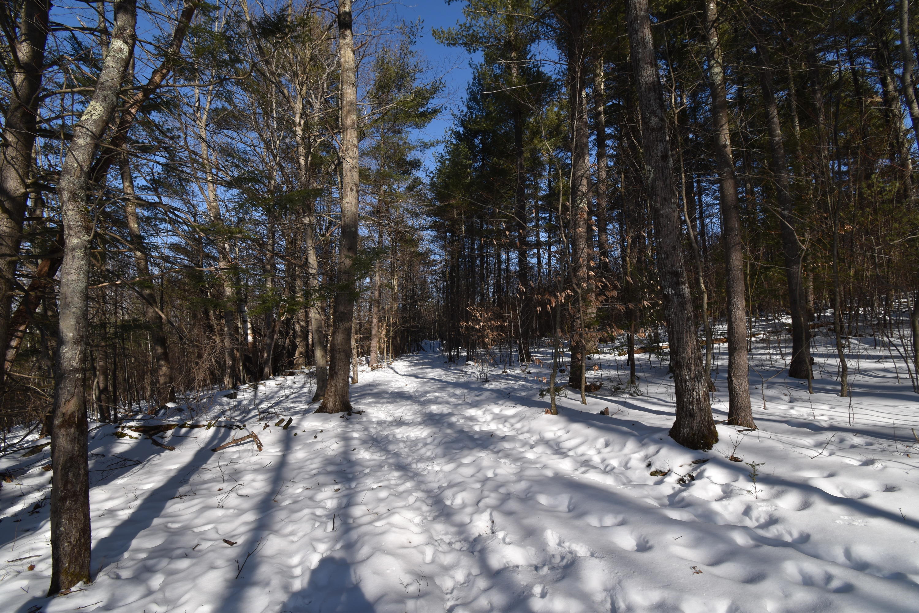 360 Watson Heights Road Kents Hill, ME 04349 - Photo 65 of 77 DSC_0344