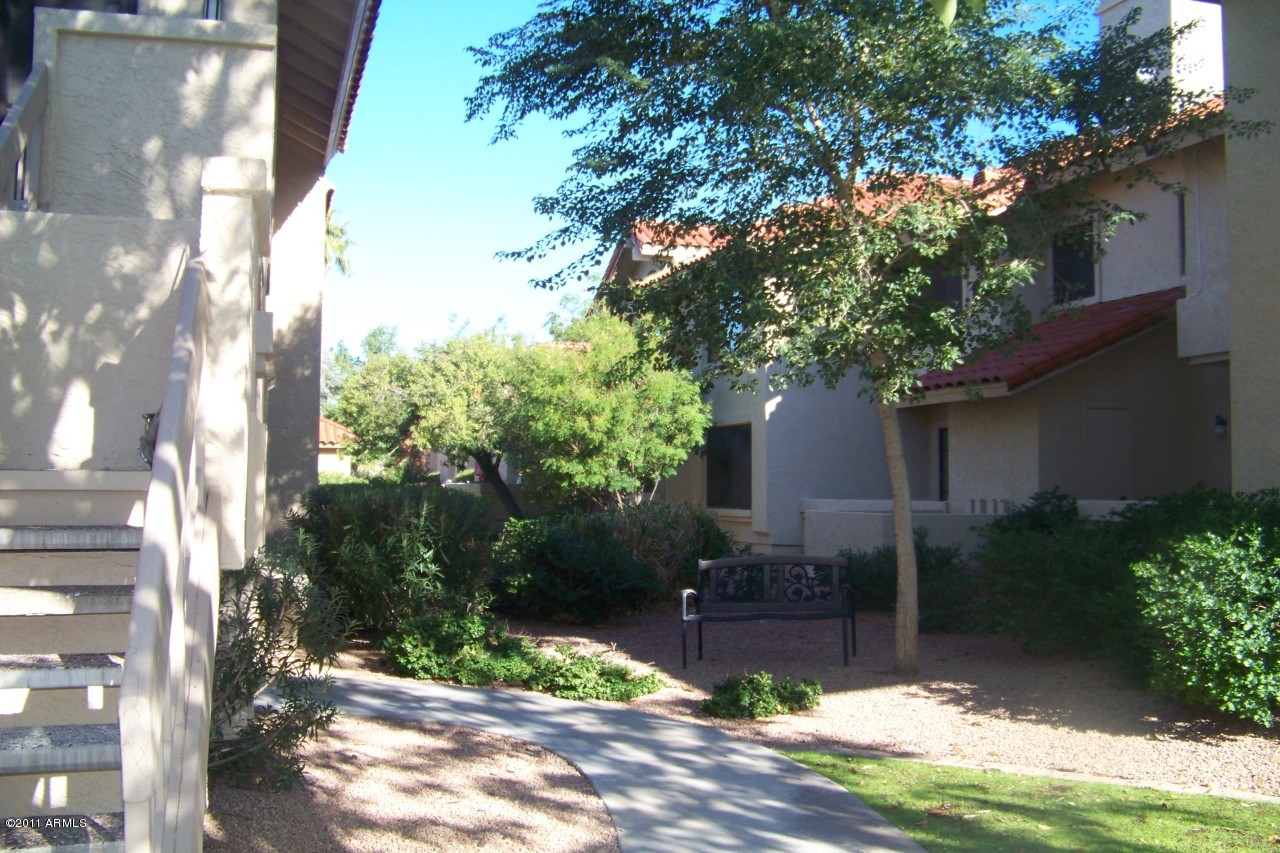 a view of backyard with plants and outdoor seating