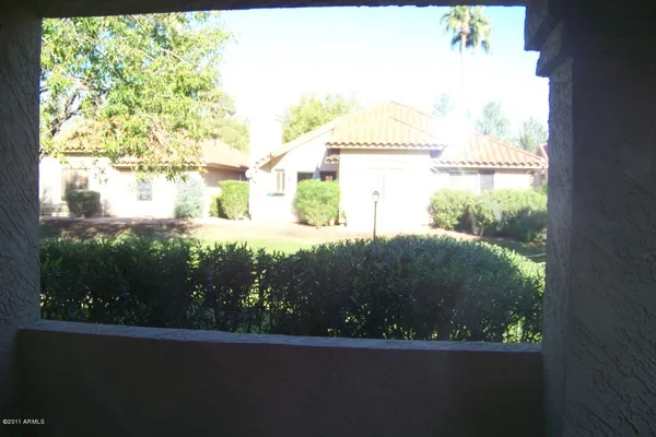a view of swimming pool from a window