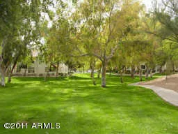 a park with trees in the background