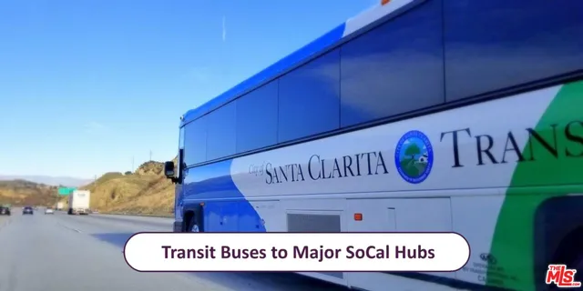 a bathroom with a sink a mirror and a potted plant