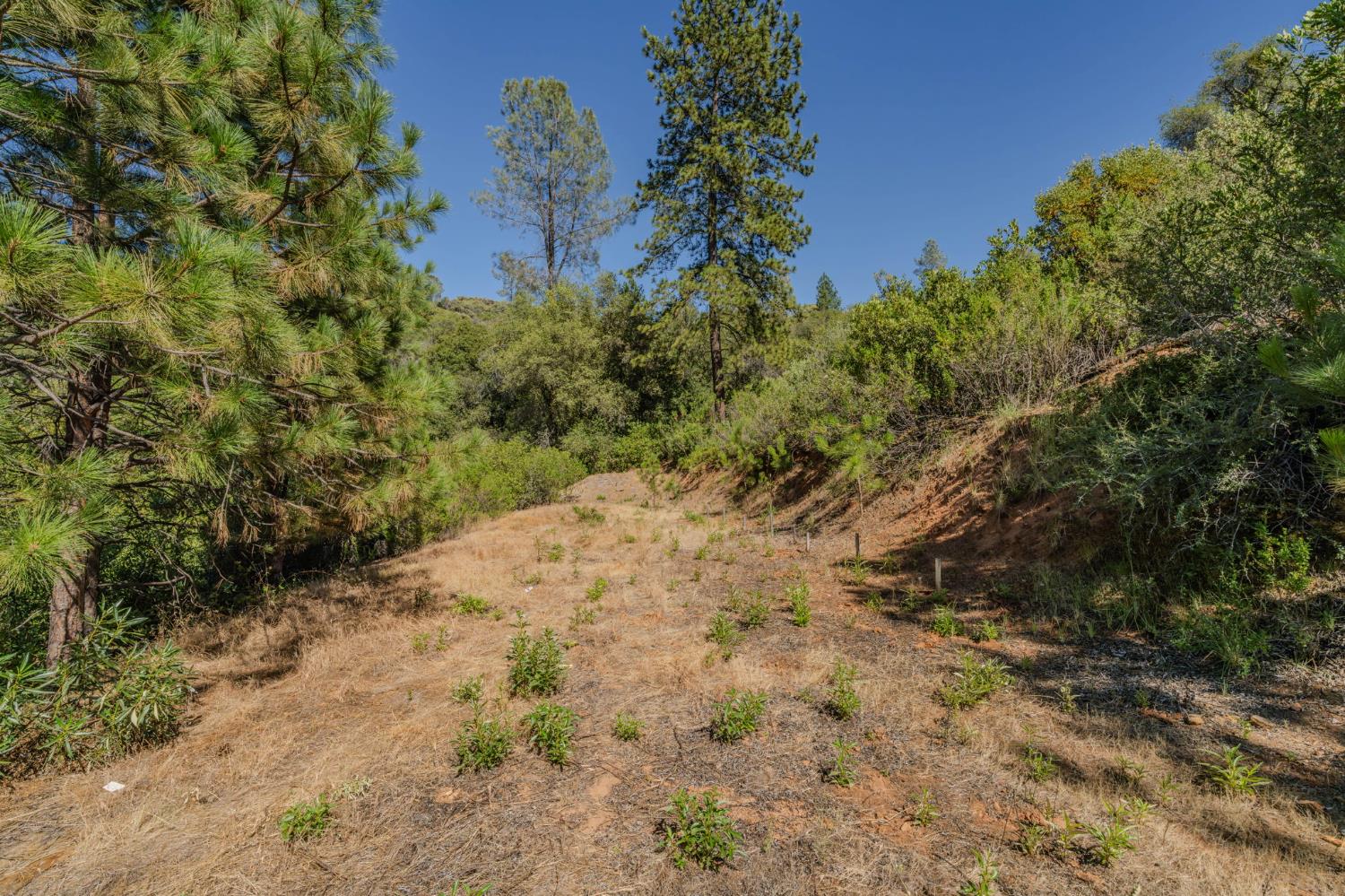6240 Michel Road Mountain Ranch, CA 95246 - Photo 63 of 92