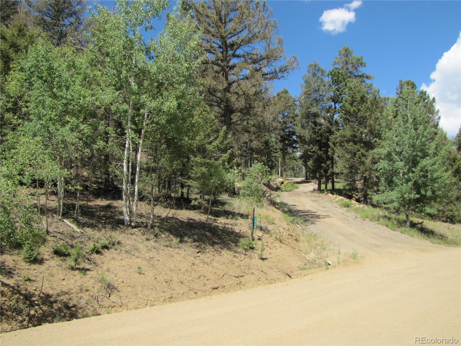 1240 Campfire Road Hartsel, CO 80449 - Photo 3 of 25 a view of a yard with a tree