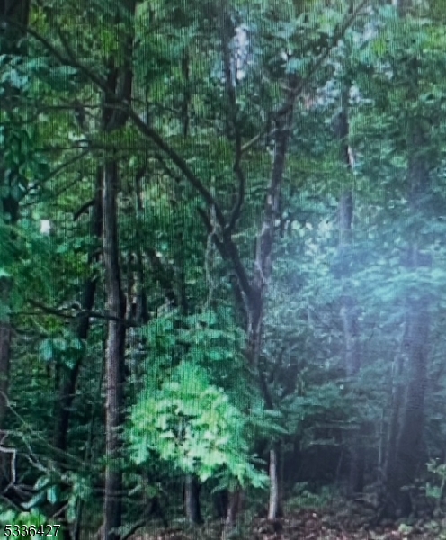 16 Lakeview Drive Wantage, NJ 07461 - Photo 1 of 2 a view of a forest with trees