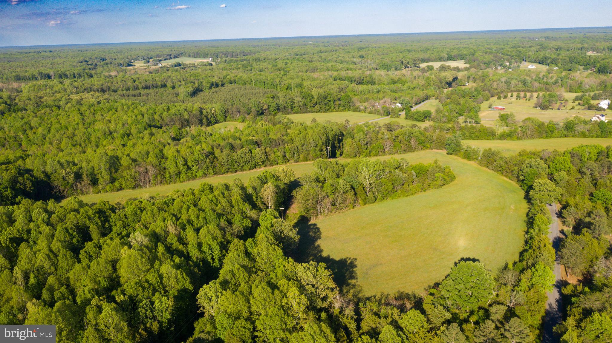 0 Trivette Road Beaverdam, VA 23015 - Photo 26 of 45