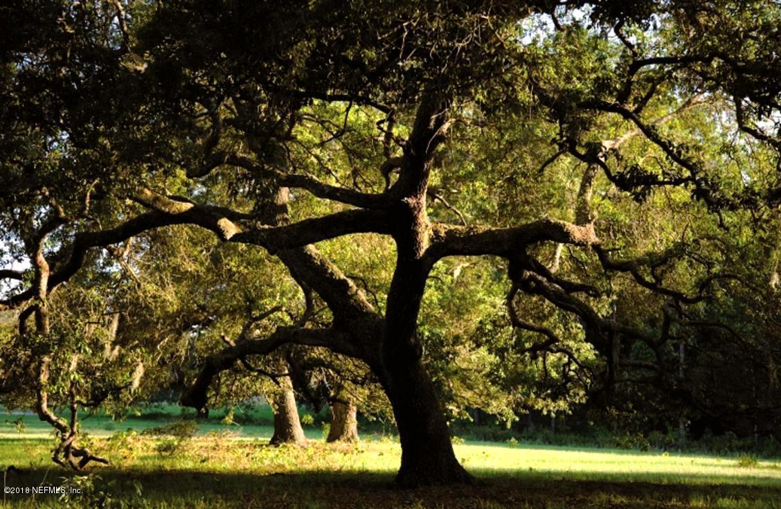 2433 Den Street St. Augustine, FL 32092 - Photo 24 of 24 King & Bear with Beautiful Old Oak Trees