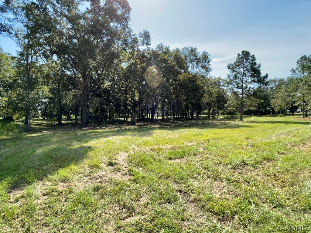 49 Slocomb Al Slocomb, AL 36375 - Photo 11 of 19 Gallery Image 11