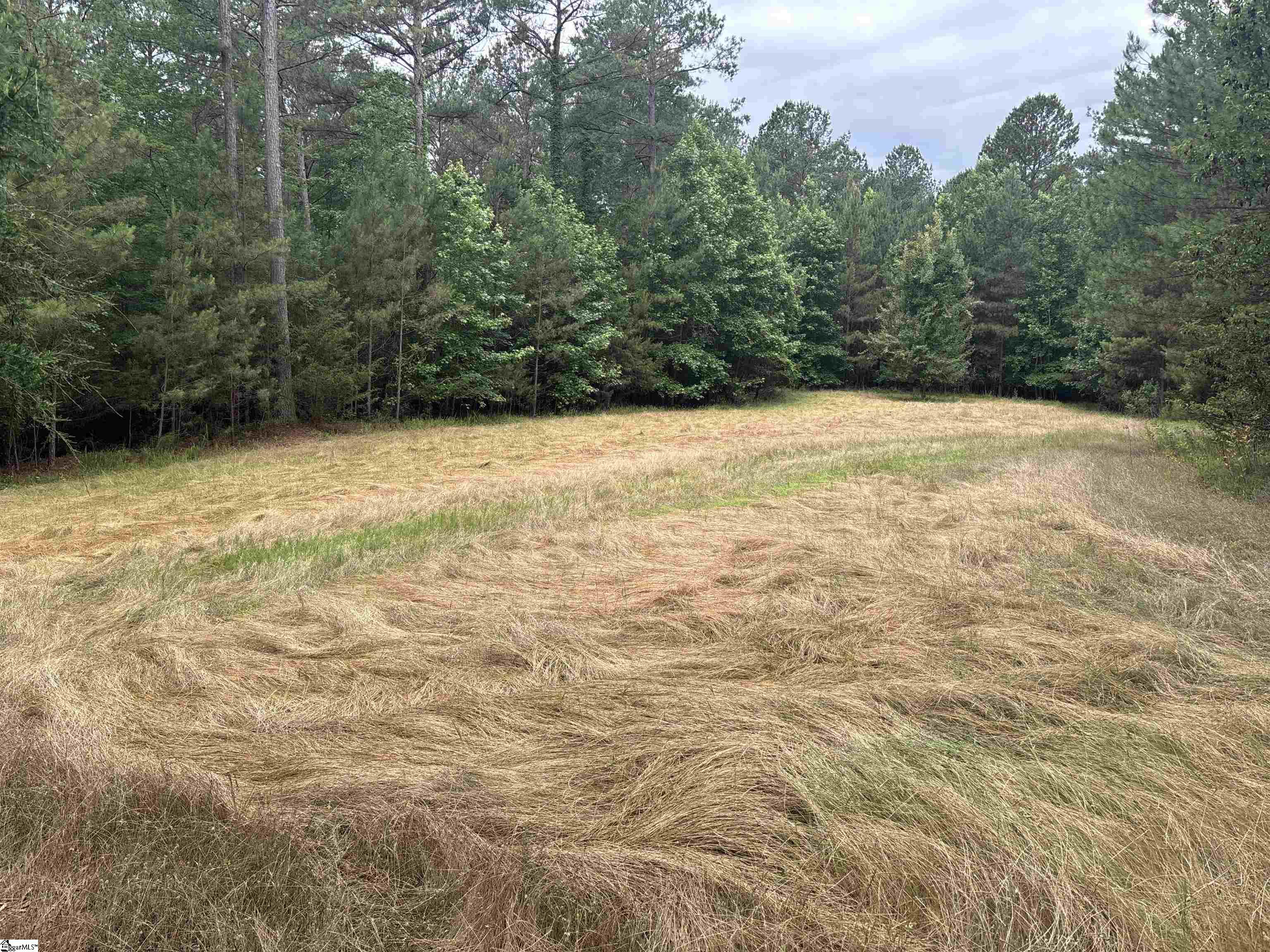 1087 Bobby Faucette Road Jonesville, SC 29353 - Photo 4 of 47