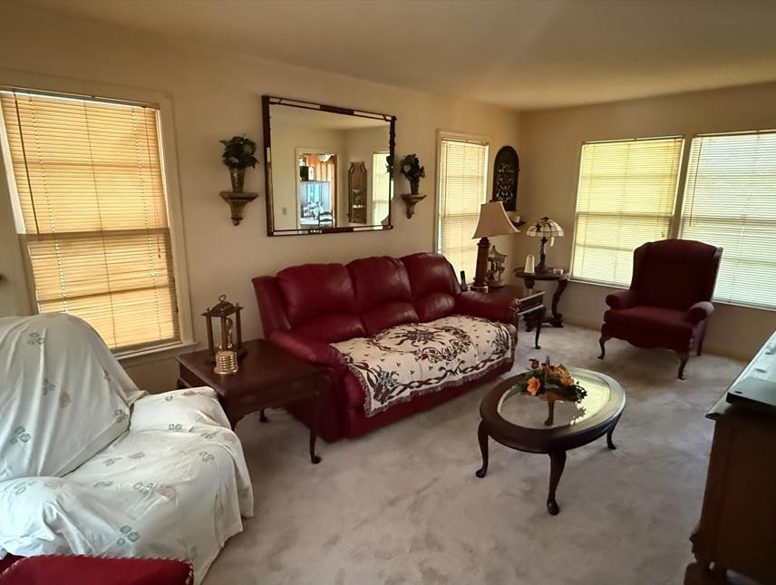 2653 Patty Road Cades, SC 29518 - Photo 6 of 41