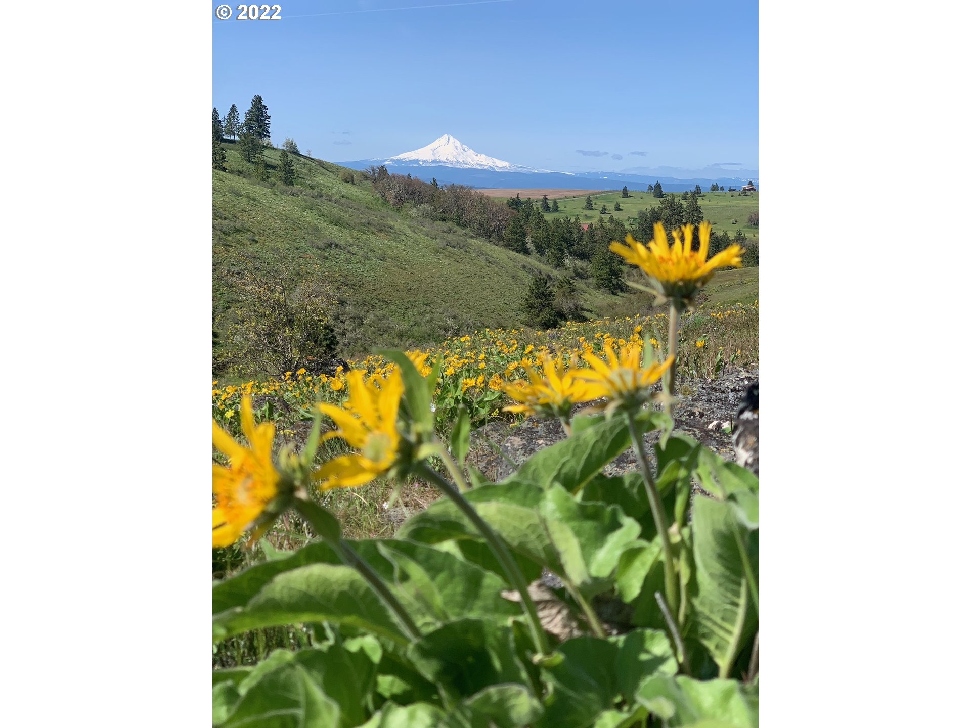 Johnson Creek Road Lyle, WA 98635 - Photo 1 of 12 Gallery Image 1