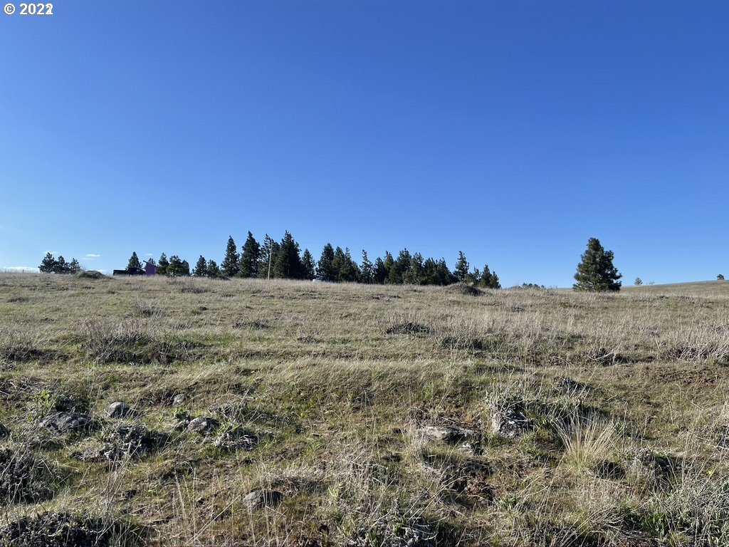 Johnson Creek Road Lyle, WA 98635 - Photo 4 of 12 Gallery Image 4