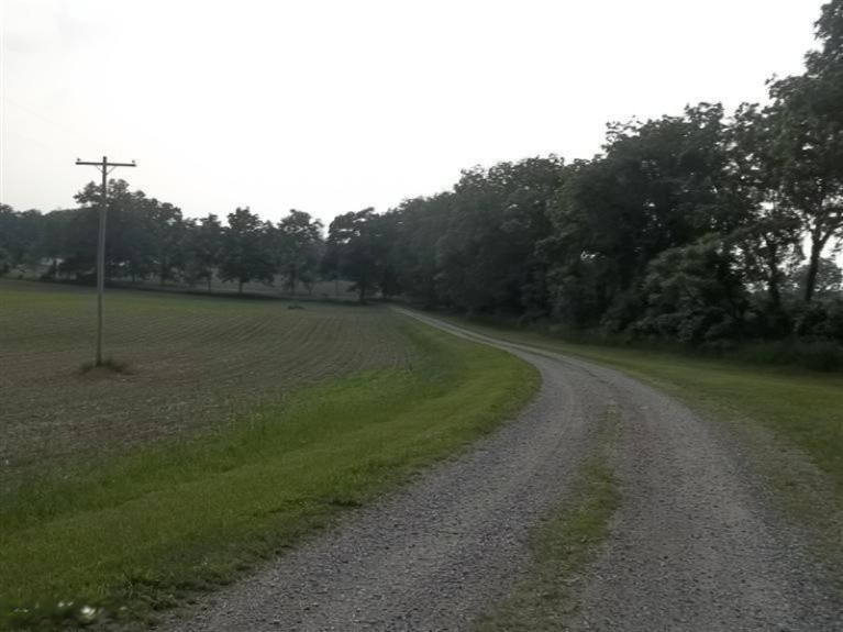 3989 Hog Creek Road Allen, MI 49227 - Photo 8 of 9 Additional Photo