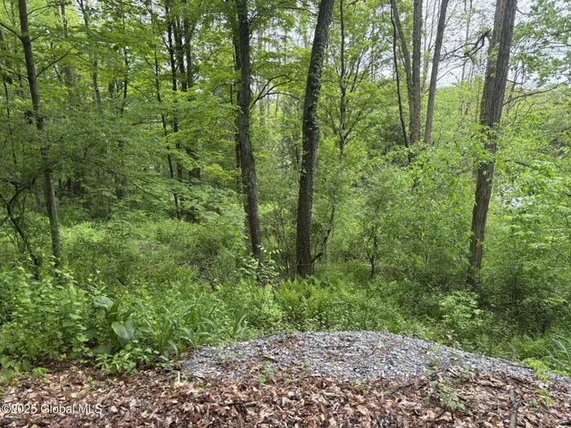 $42,000 | 238 Emigh Road, Milton, NY 12863