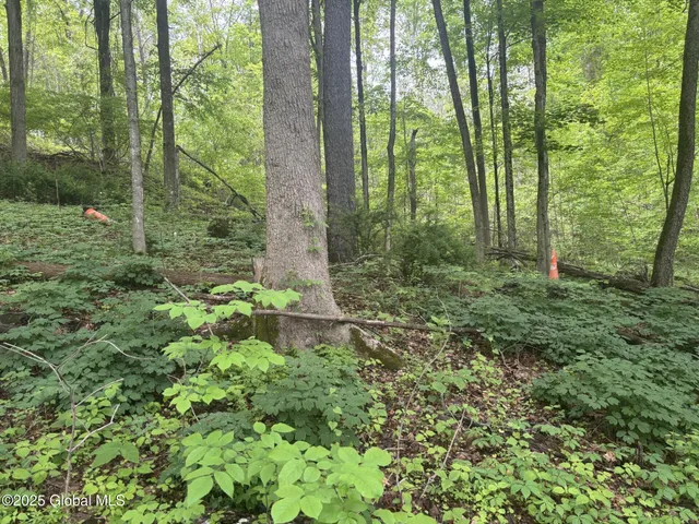 $42,000 | 238 Emigh Road, Milton, NY 12863