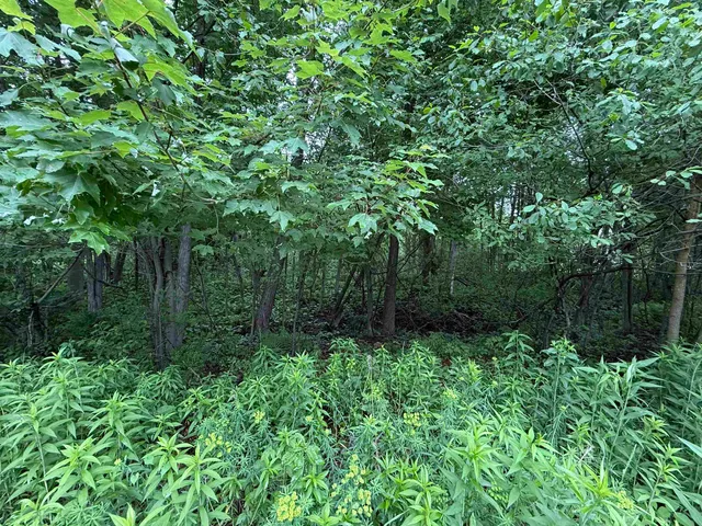 $20,000 | Acorn Trail, Unit 8, Oconto, WI 54153