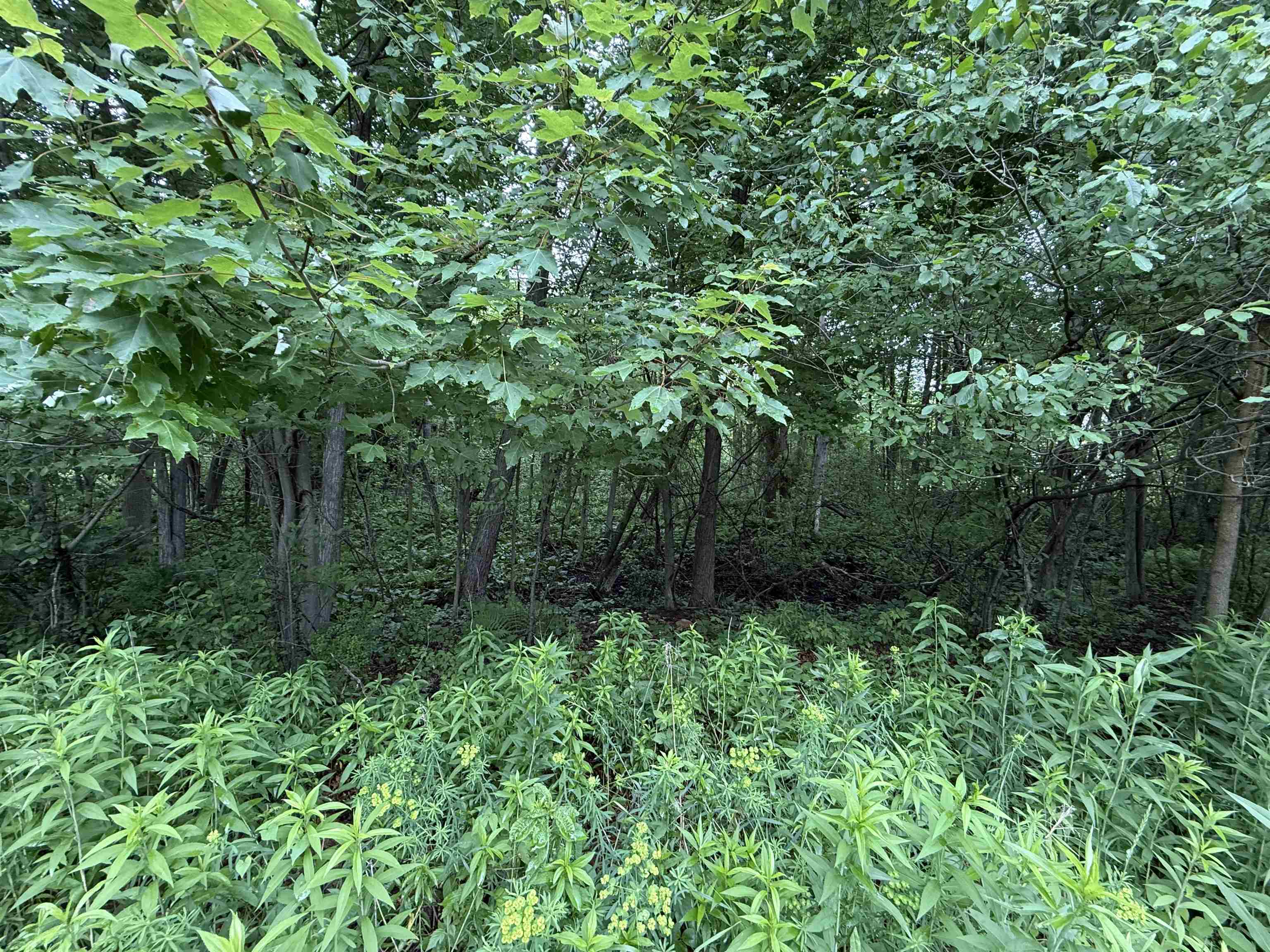 Acorn Trail, Unit 8 Oconto, WI 54153 - Photo 2 of 10