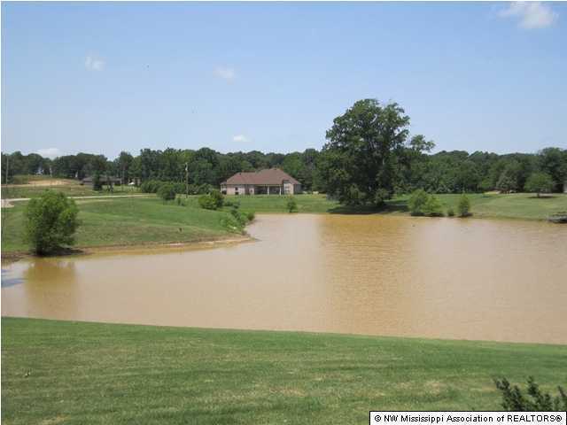 103 Rdg Lk Cove Coldwater, MS 38618 - Photo 2 of 8 Additional Photo