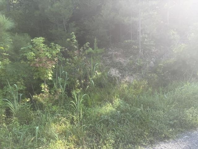 4 Carroll Hollow Road Waynesboro, TN 38485 - Photo 16 of 32 Gallery Image 16