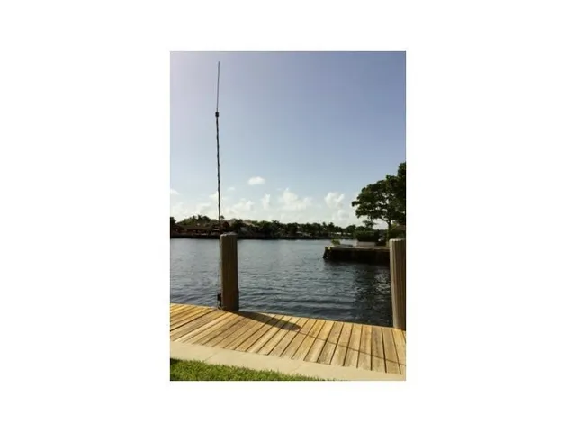 a picture of a park with plants and palm tree