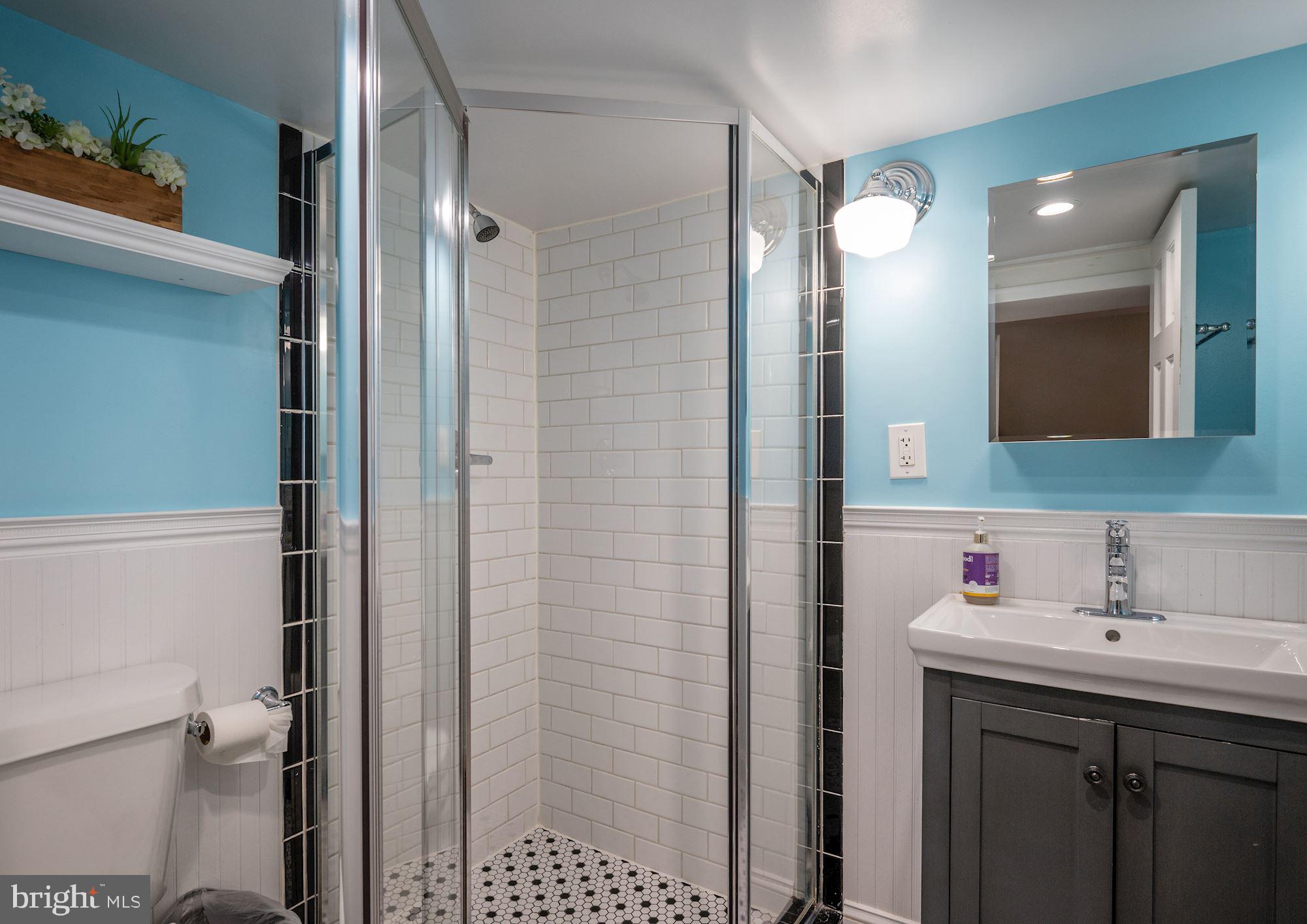 919 E Street Southeast Washington, DC 20003 - Photo 18 of 28 Full bath in large finished basement