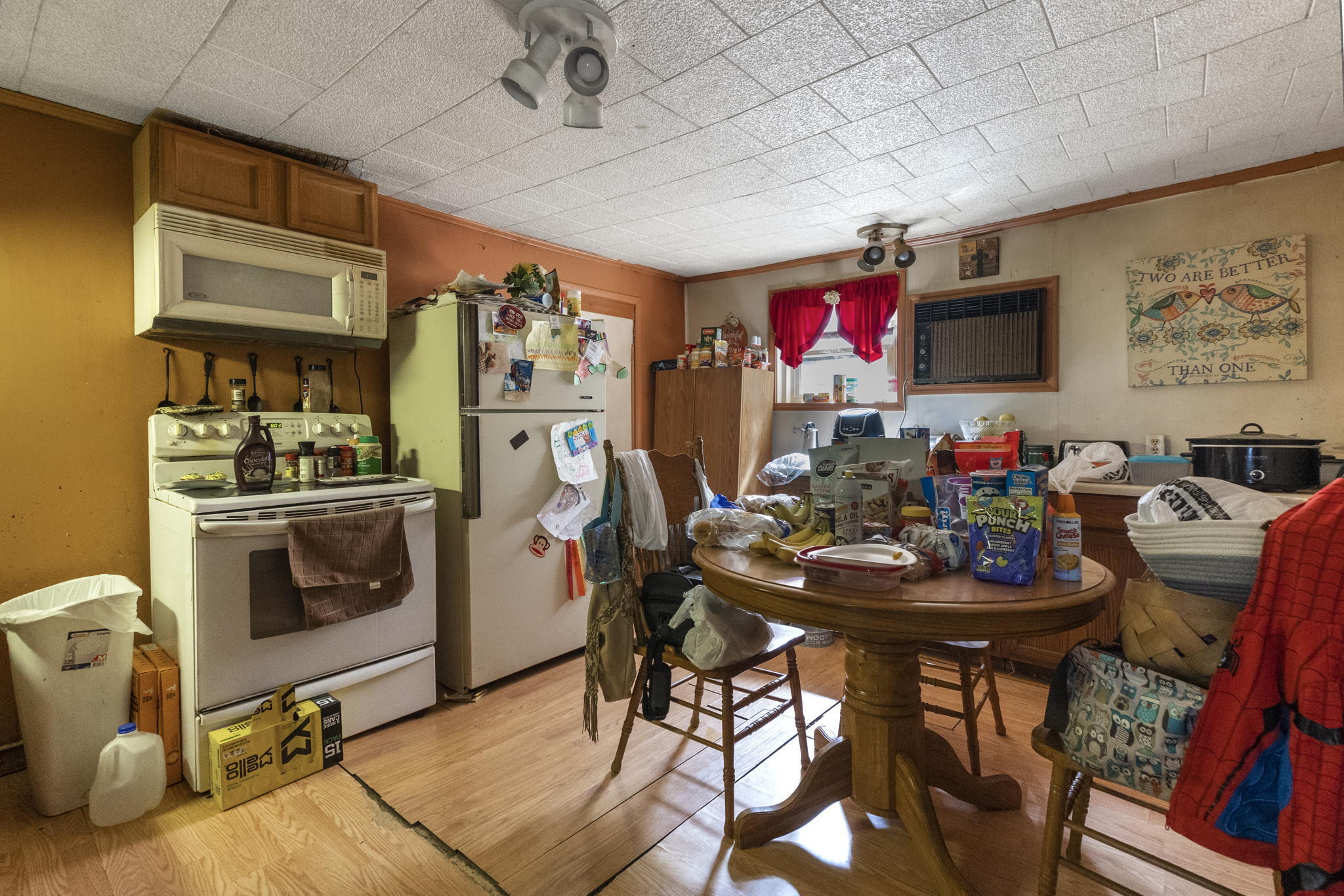 105 Tipton Street Erwin, TN 37650 - Photo 3 of 15 3-web-or-mls-217A5654