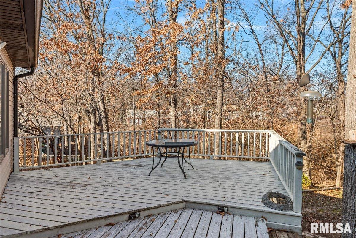 2553 Chapel Hill Drive Springfield, IL 62702 - Photo 48 of 57