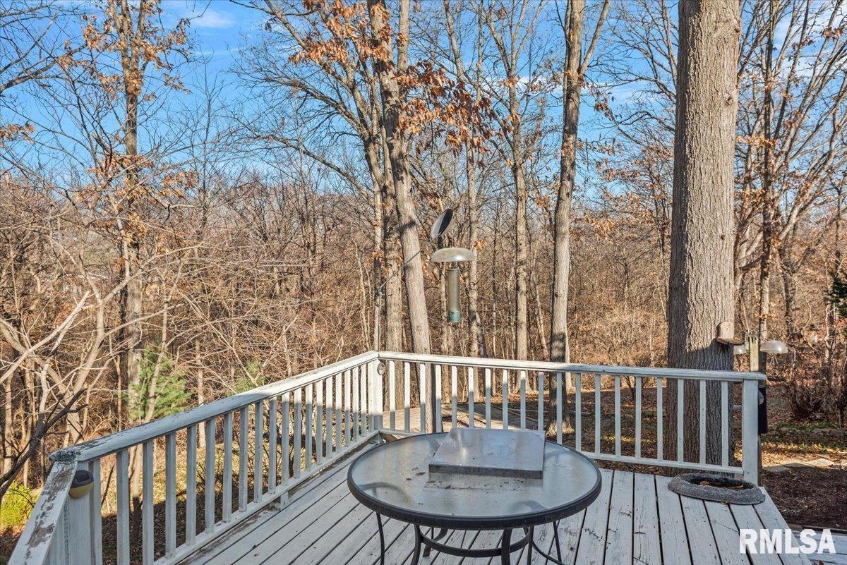 2553 Chapel Hill Drive Springfield, IL 62702 - Photo 49 of 57