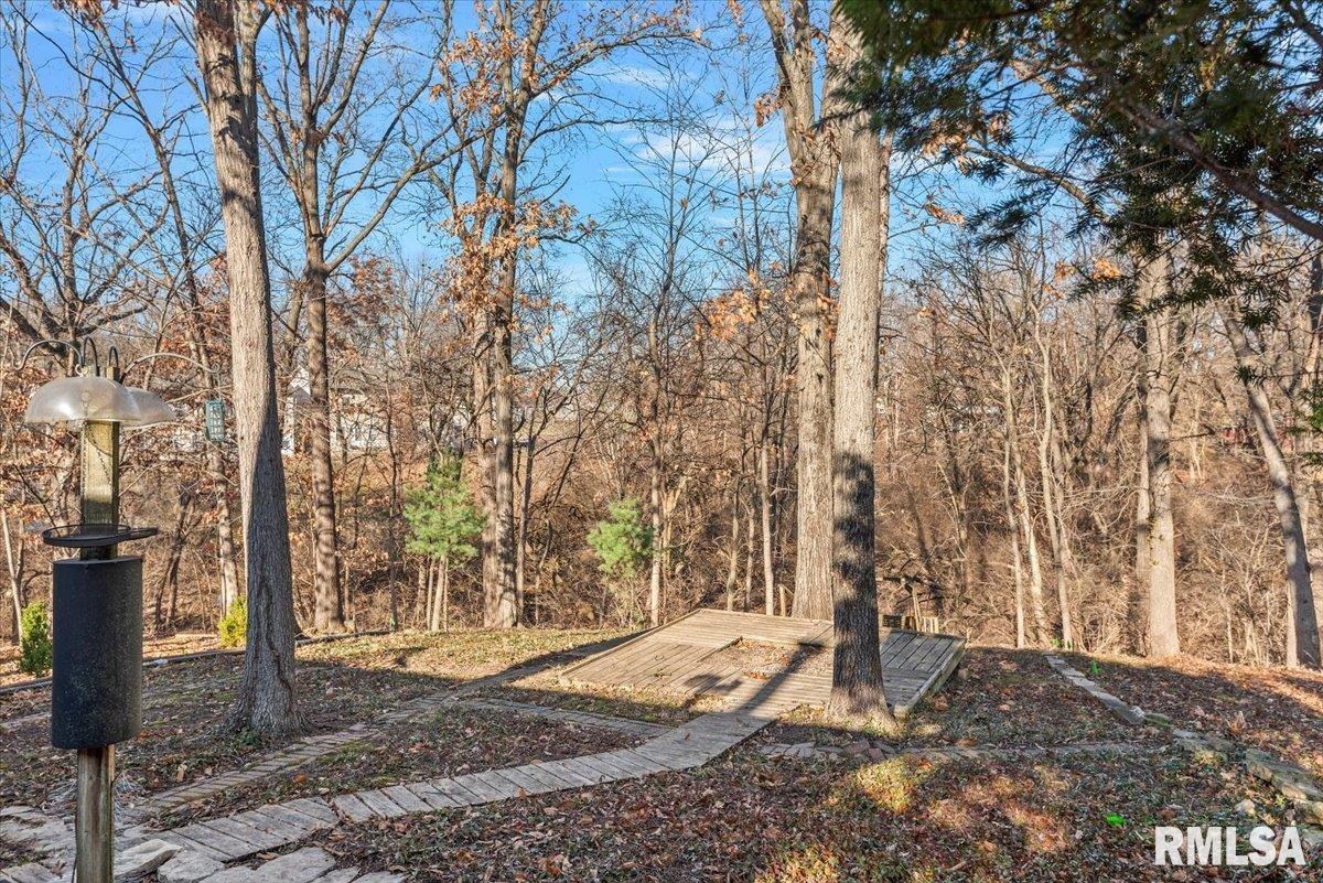 2553 Chapel Hill Drive Springfield, IL 62702 - Photo 51 of 58