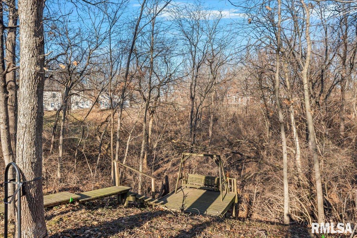 2553 Chapel Hill Drive Springfield, IL 62702 - Photo 55 of 58