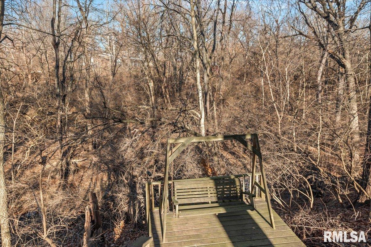 2553 Chapel Hill Drive Springfield, IL 62702 - Photo 55 of 57