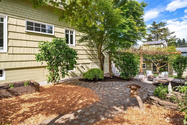 a view of a backyard with plants and large trees