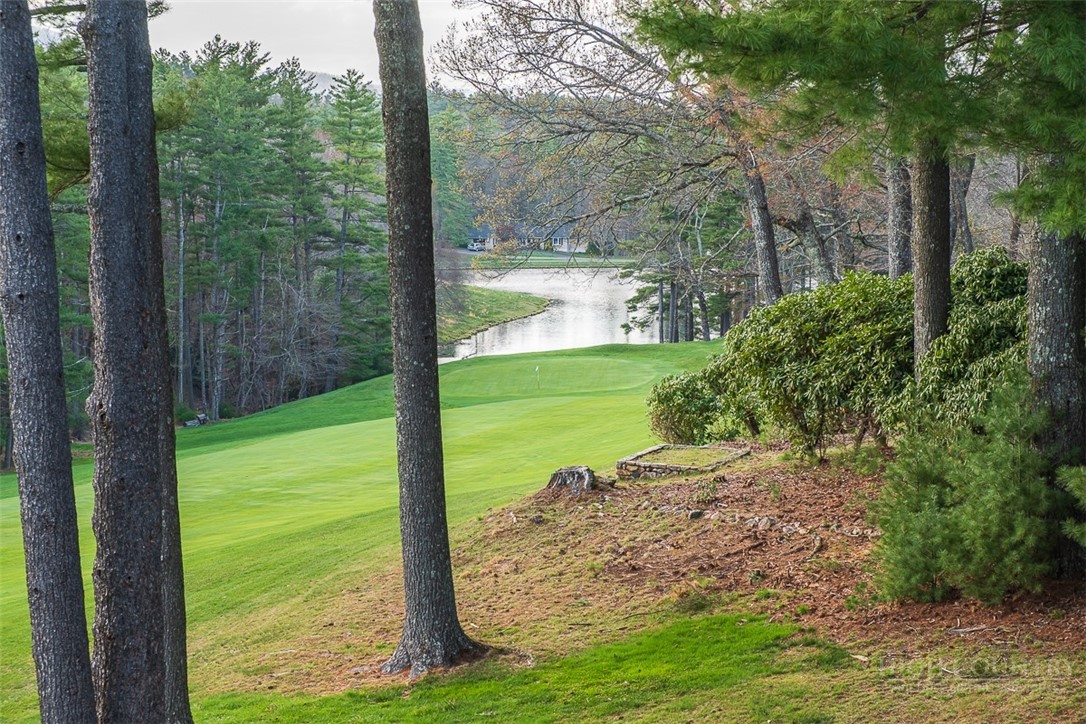 442 Country Club Road Glade Valley, NC 28627 - Photo 29 of 34 Gallery Image 29