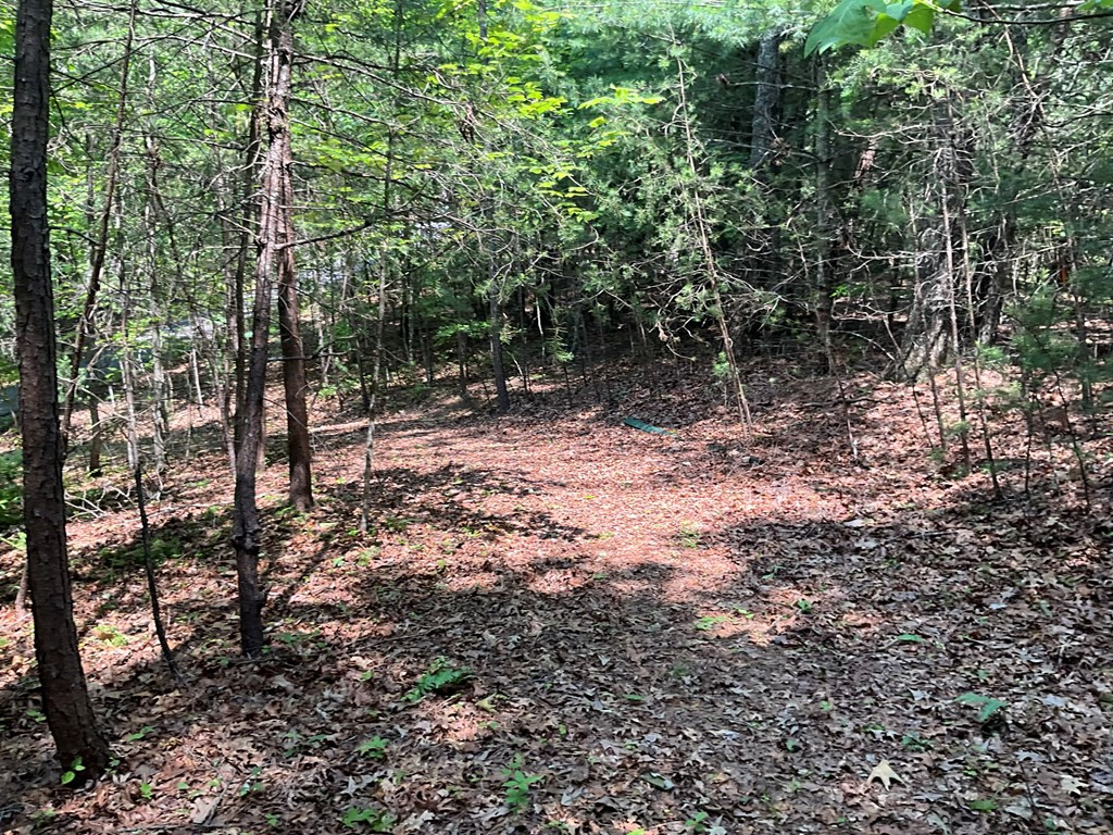 5 Birds View Lane Murphy, NC 28906 - Photo 16 of 17