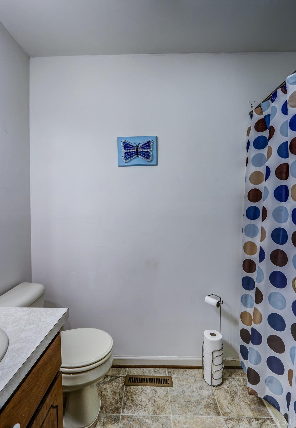 127 Southern Lane Monroe, VA 24574 - Photo 17 of 44 a white toilet sitting next to a shower curtain