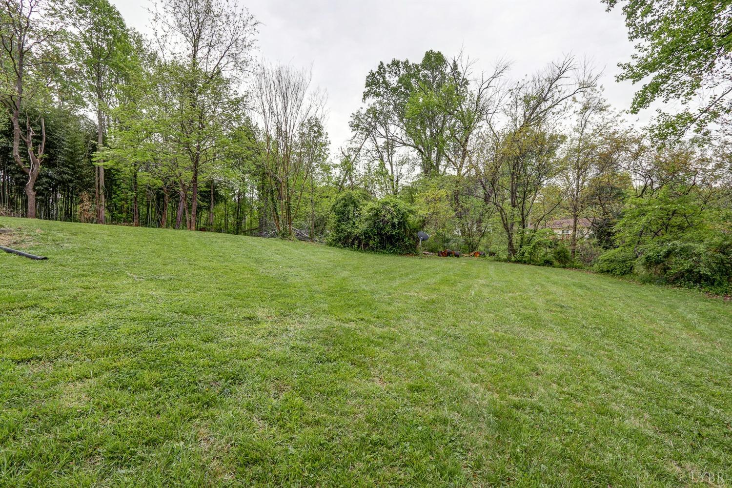 127 Southern Lane Monroe, VA 24574 - Photo 27 of 44 a view of a big yard with trees