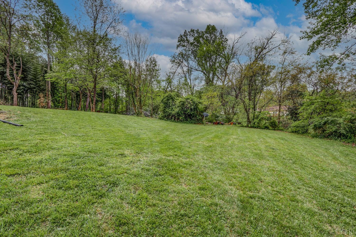 127 Southern Lane Monroe, VA 24574 - Photo 28 of 44 a view of a big yard with plants and large trees
