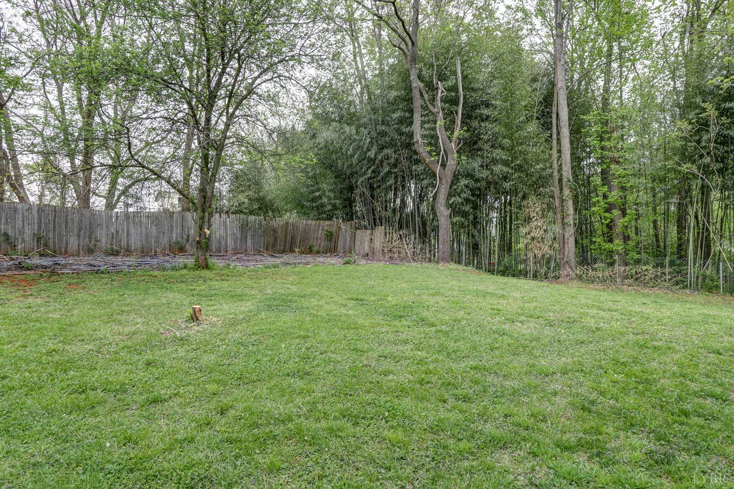 127 Southern Lane Monroe, VA 24574 - Photo 29 of 44 a view of a yard with a tree