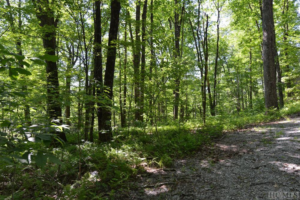 0 Dog Mountain Road Highlands, NC 28741 - Photo 1 of 1 Gallery Image 1