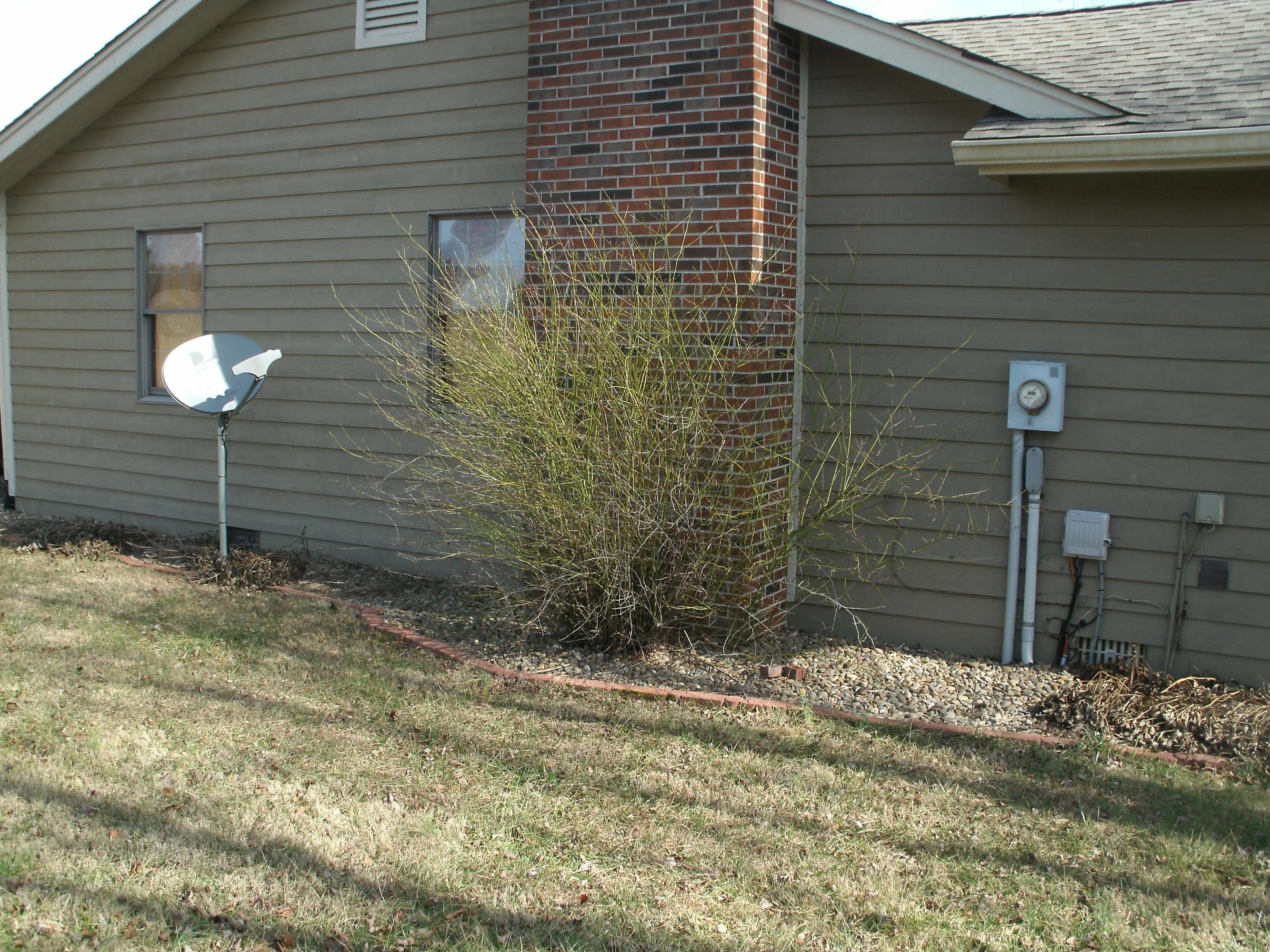 2630 Reeds Springs Road Sweetwater, TN 37874 - Photo 3 of 6 side