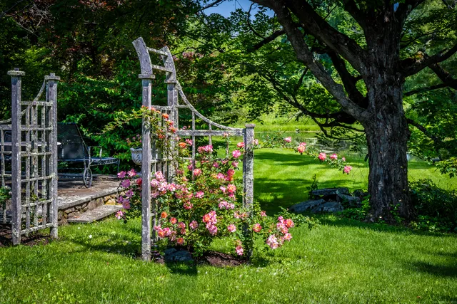 a view of a kid room