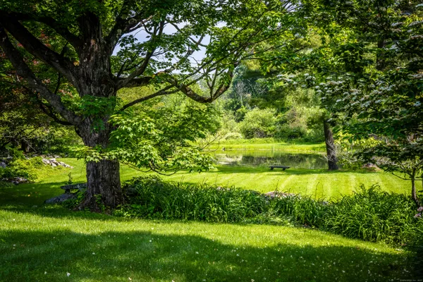 a view of a garden with a tree