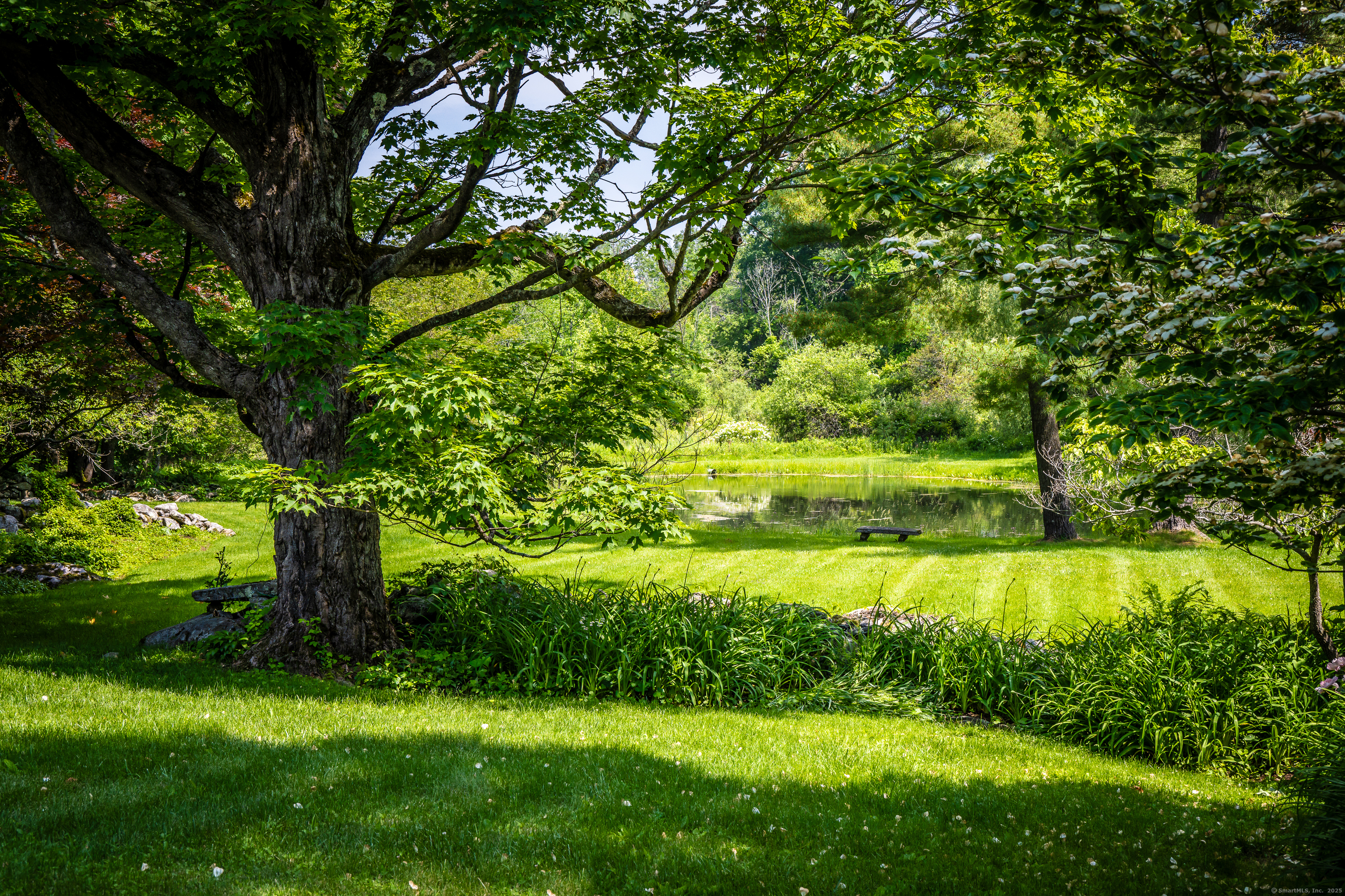 130 Sharon Mountain Road Sharon, CT 06069 - Photo 30 of 38 a view of a garden with a tree