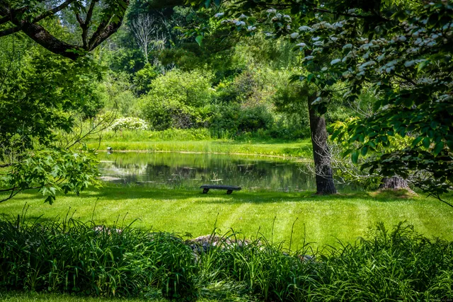 a view of yard with swimming pool and green space