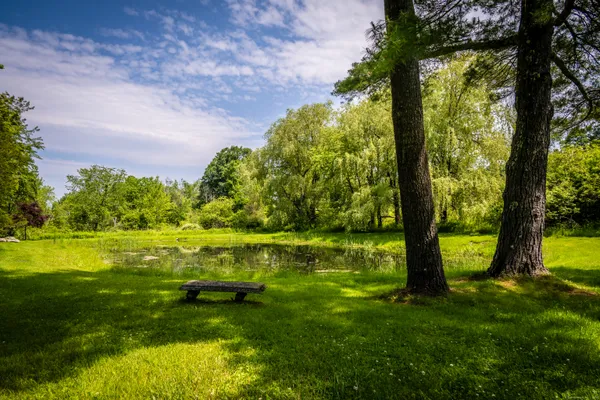 a garden with trees in the background