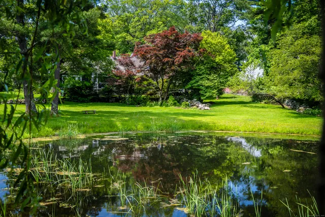 a view of a big yard with large trees