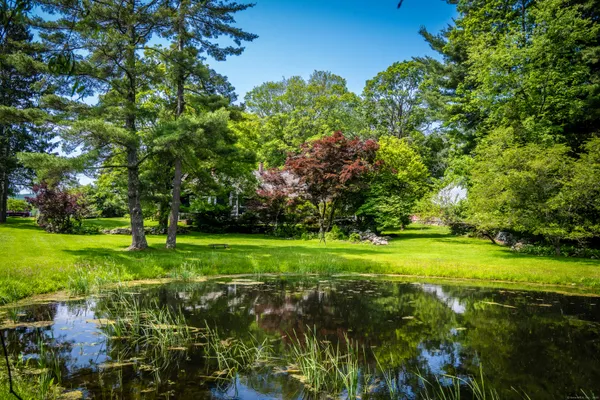 a view of a grassy field with trees