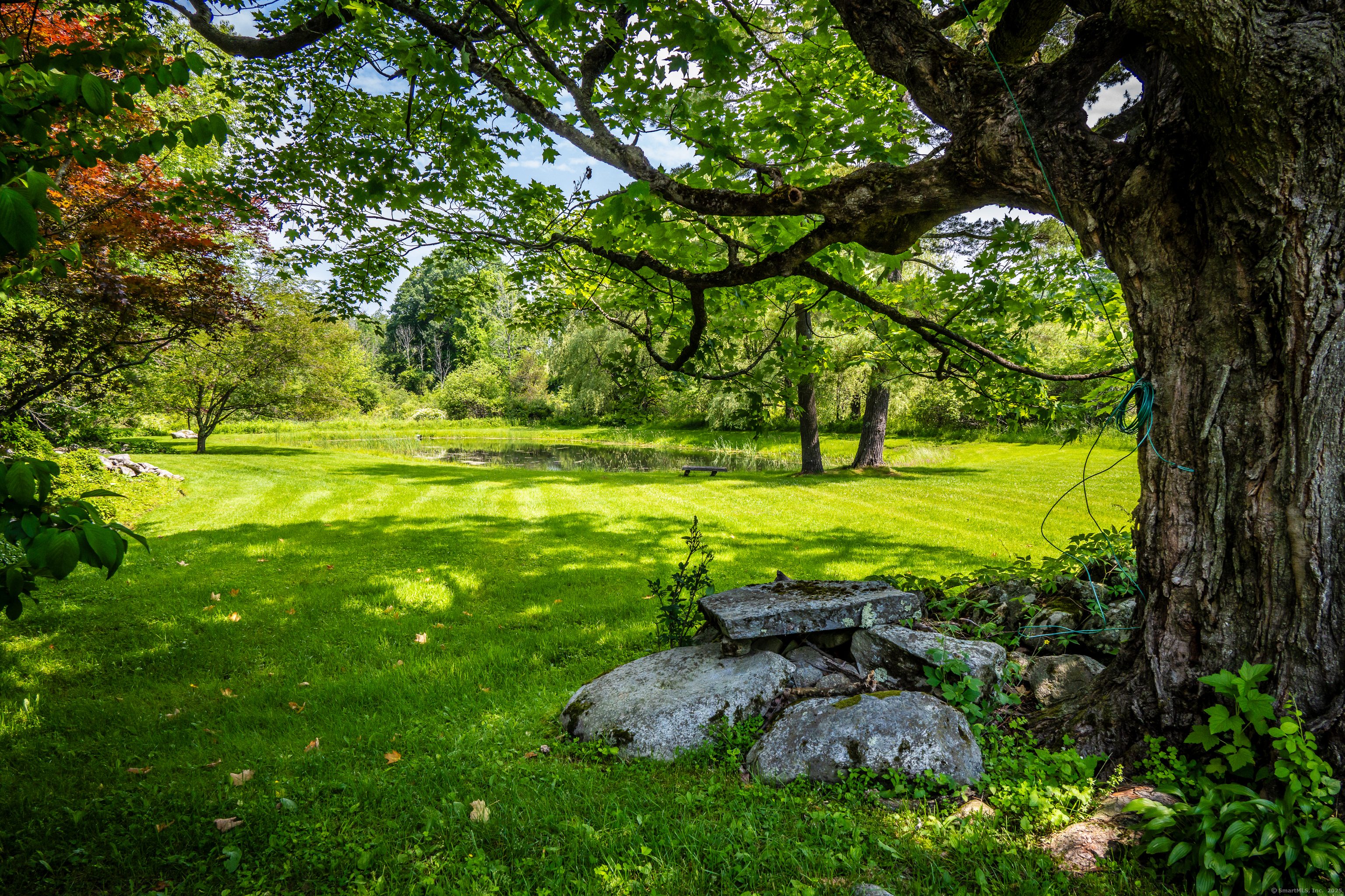 130 Sharon Mountain Road Sharon, CT 06069 - Photo 34 of 38 a view of a trees with a yard