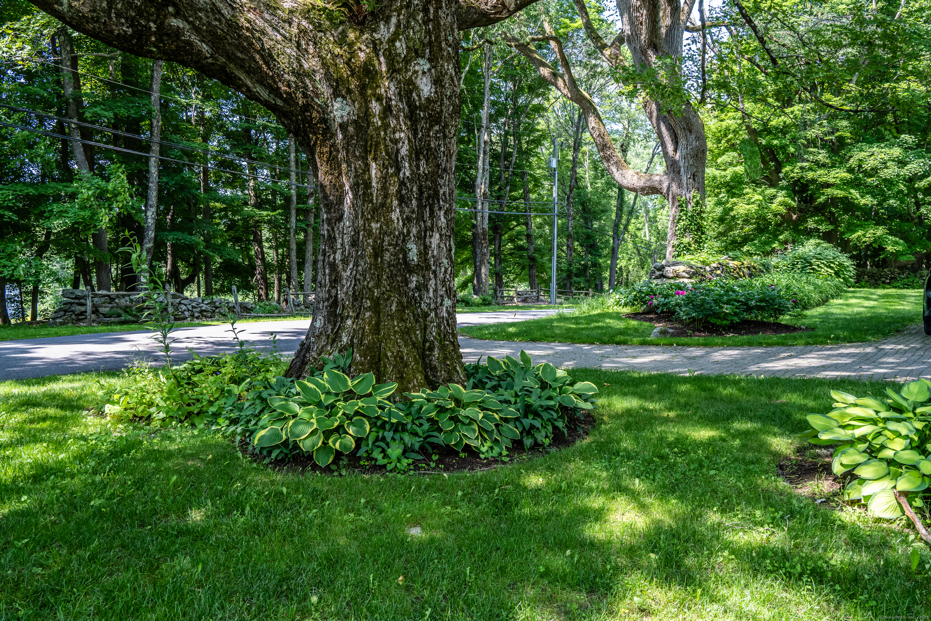 130 Sharon Mountain Road Sharon, CT 06069 - Photo 38 of 38 a view of a park that has large trees