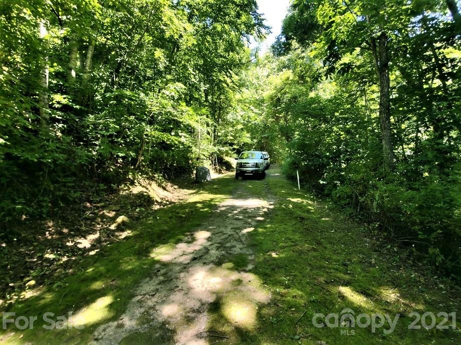 83 Choke Berry Ridge, Unit 1 Sylva, NC 28779 - Photo 12 of 13 a view of yard with green space