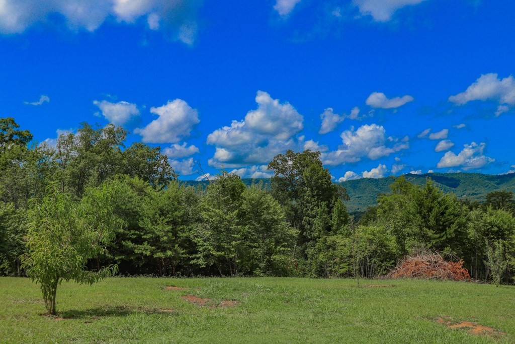 12 Cozy Road Newport, TN 37821 - Photo 28 of 40 Gallery Image 28